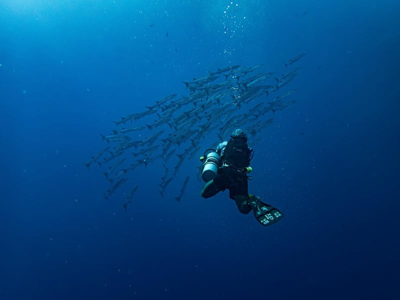 Dive Watches