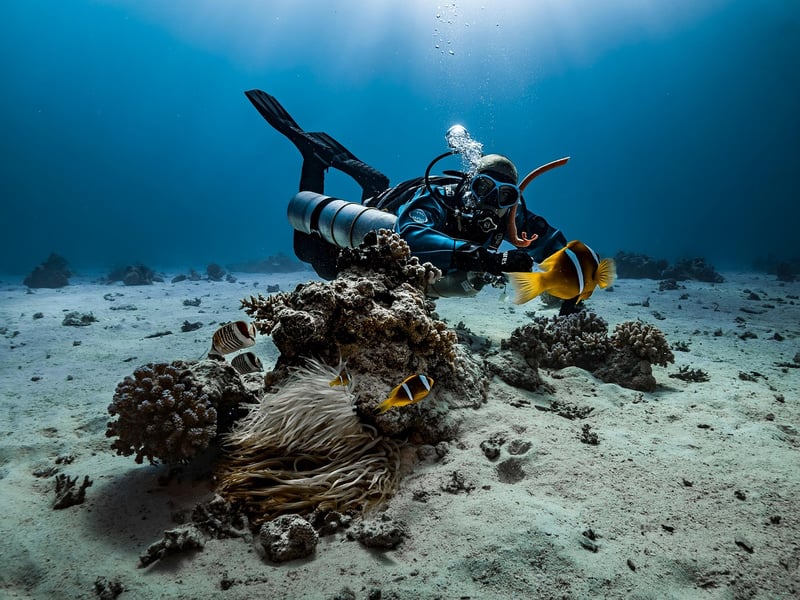 Diver with Dive Watch