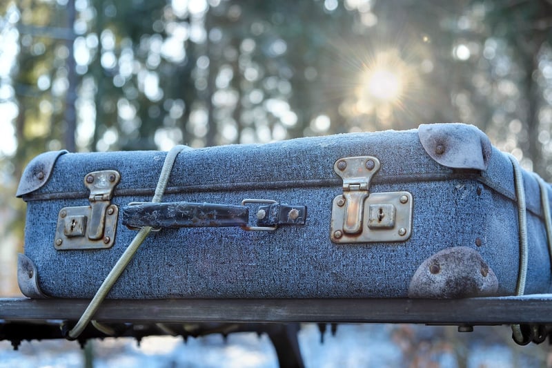 Luxury Travel Suitcase